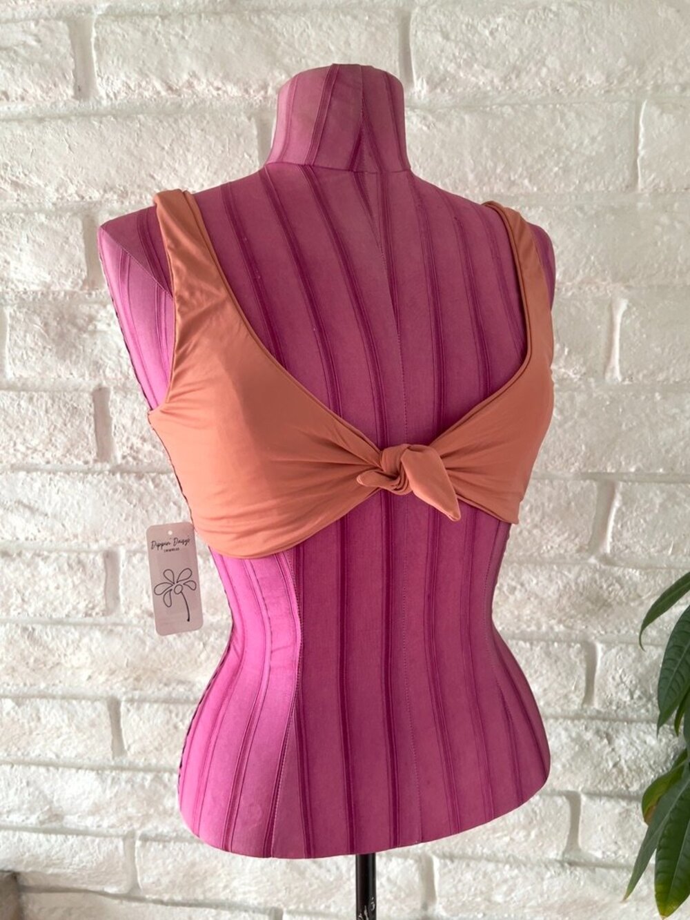 Dippin' Daisy's Top Bikini A35